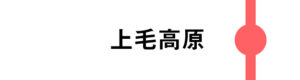 上毛高原は一部のときが停車します。