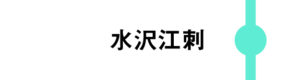 水沢江刺は一部のはやてが停車します。